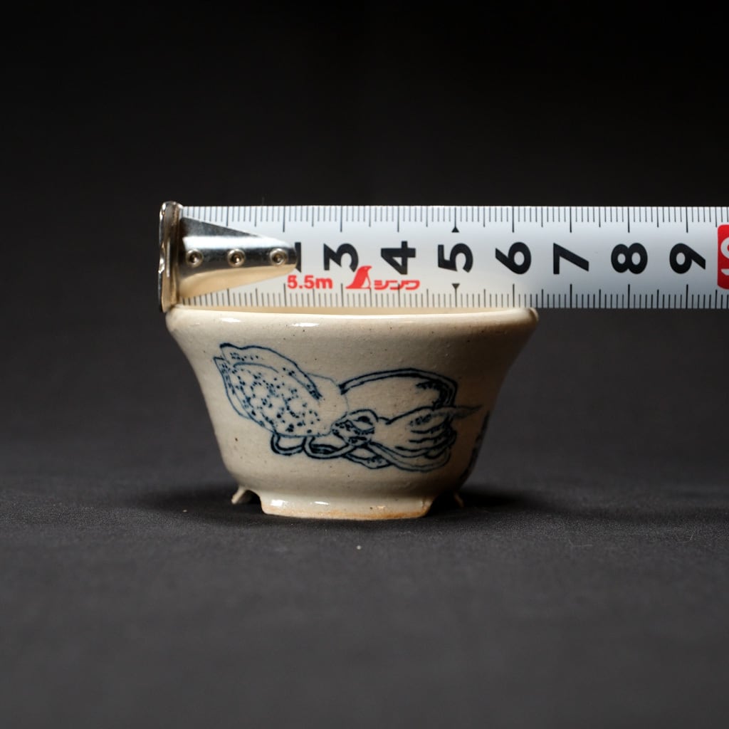 絵鉢 烏賊【Q鉢】 | bonsaiQ store