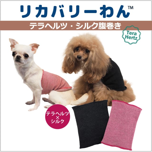 犬服☆テラヘルツ腹巻き】(S～Lｻｲｽﾞ)テラヘルツ・シルク腹巻き