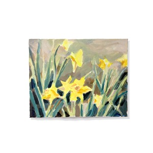 Yellow daffodil