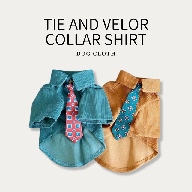 ネクタイとベロアカラーシャツのスマートセット