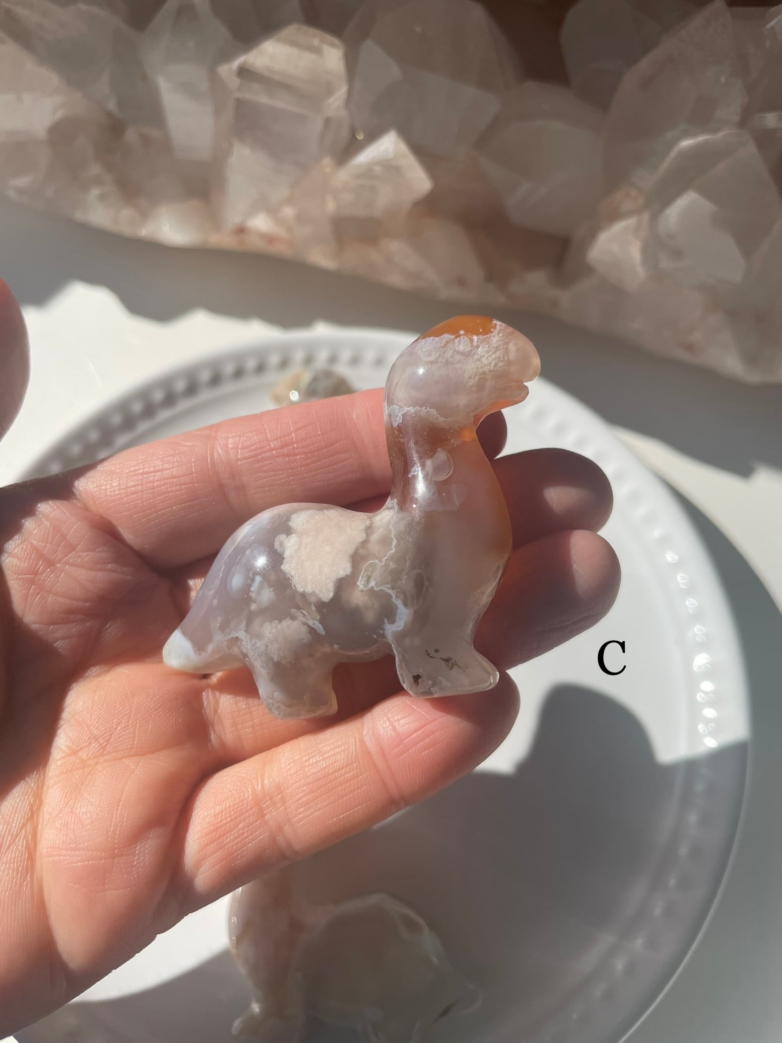 Flower Agate Dinosaur/ フラワーアゲート　恐竜