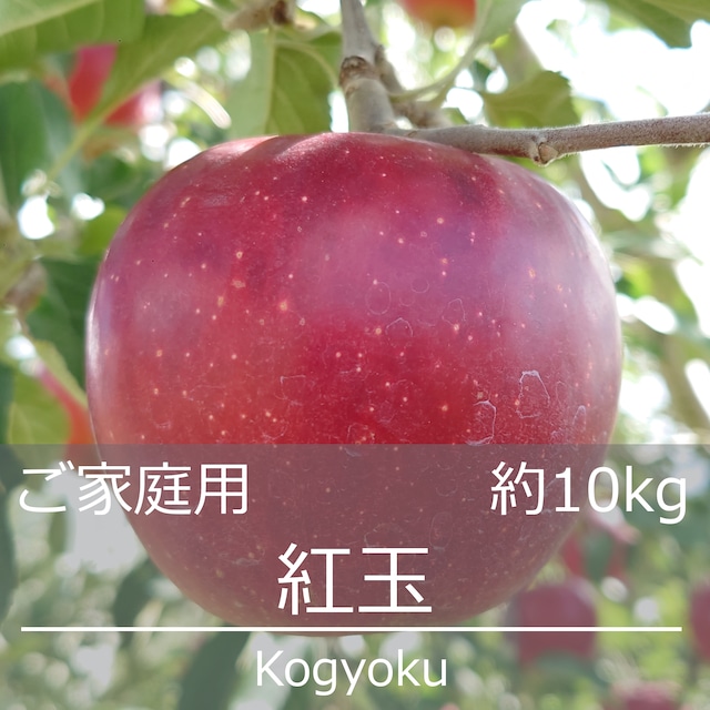 紅玉 (こうぎょく) ご家庭用 約10kg