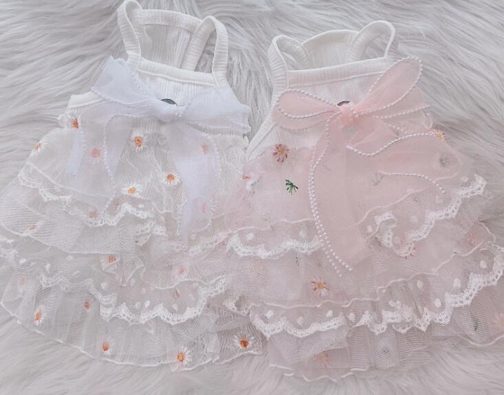 《予約》210977 オールレースキャミソール