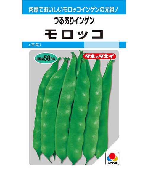 インゲン「モロッコ」（1DL） 画像