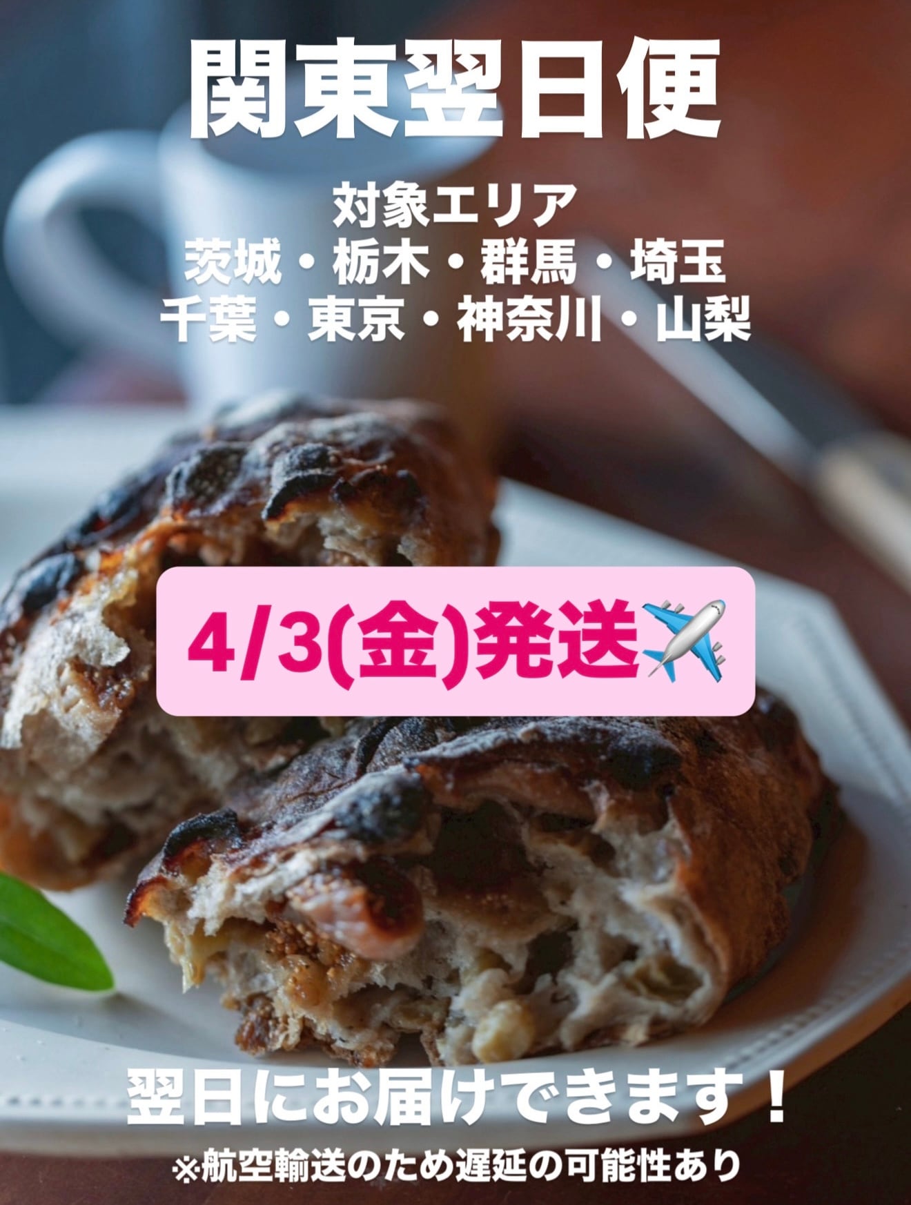 エリア限定!【4/3(金)発送】関東翌日便