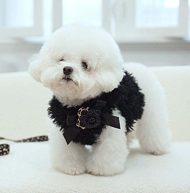 予約【cocochien】Bjørn Vest Harness Type