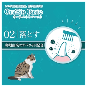 オーラバイオペーストPRO  [無香料]（４種の唾液酵素&乳酸菌培養エキス配合）歯磨剤