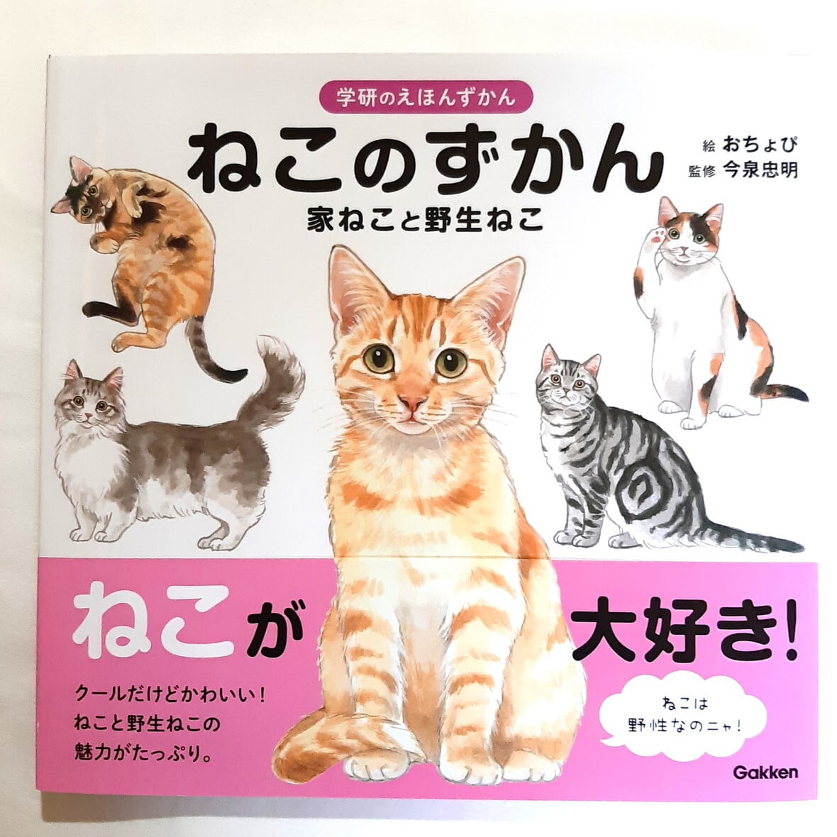 ねこのずかん 家ねこと野生ねこ（学研のえほんずかん） | ねこのみち