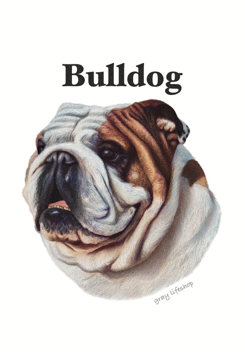 gray original Dog face &breed printed S/S TEE［Bulldog］