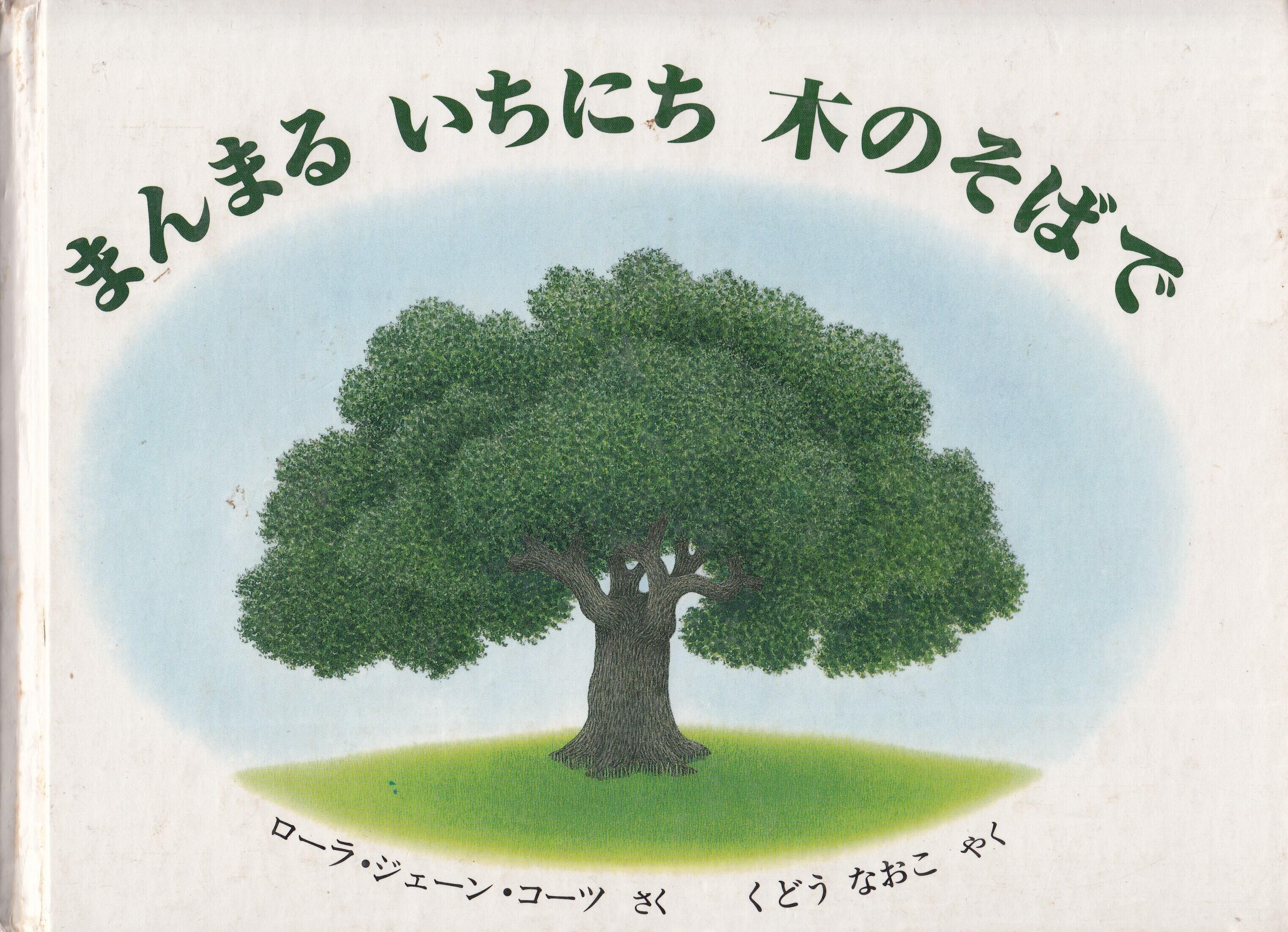 いつでも上機嫌のまんまるの木 いつでも上機嫌のまんまるの木