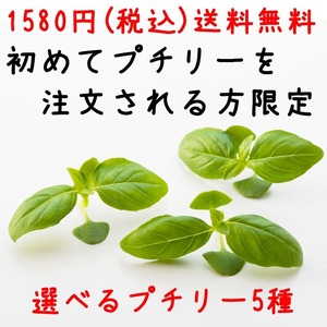 【初めての方限定】選べるお試しプチリー5種【送料無料1580円】