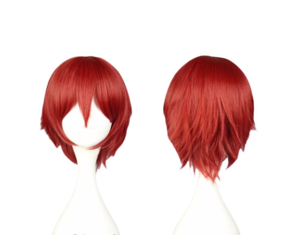 W3317 暗殺教室 赤羽 業 風 コスチューム コスプレウイッグ+ウイッグネット