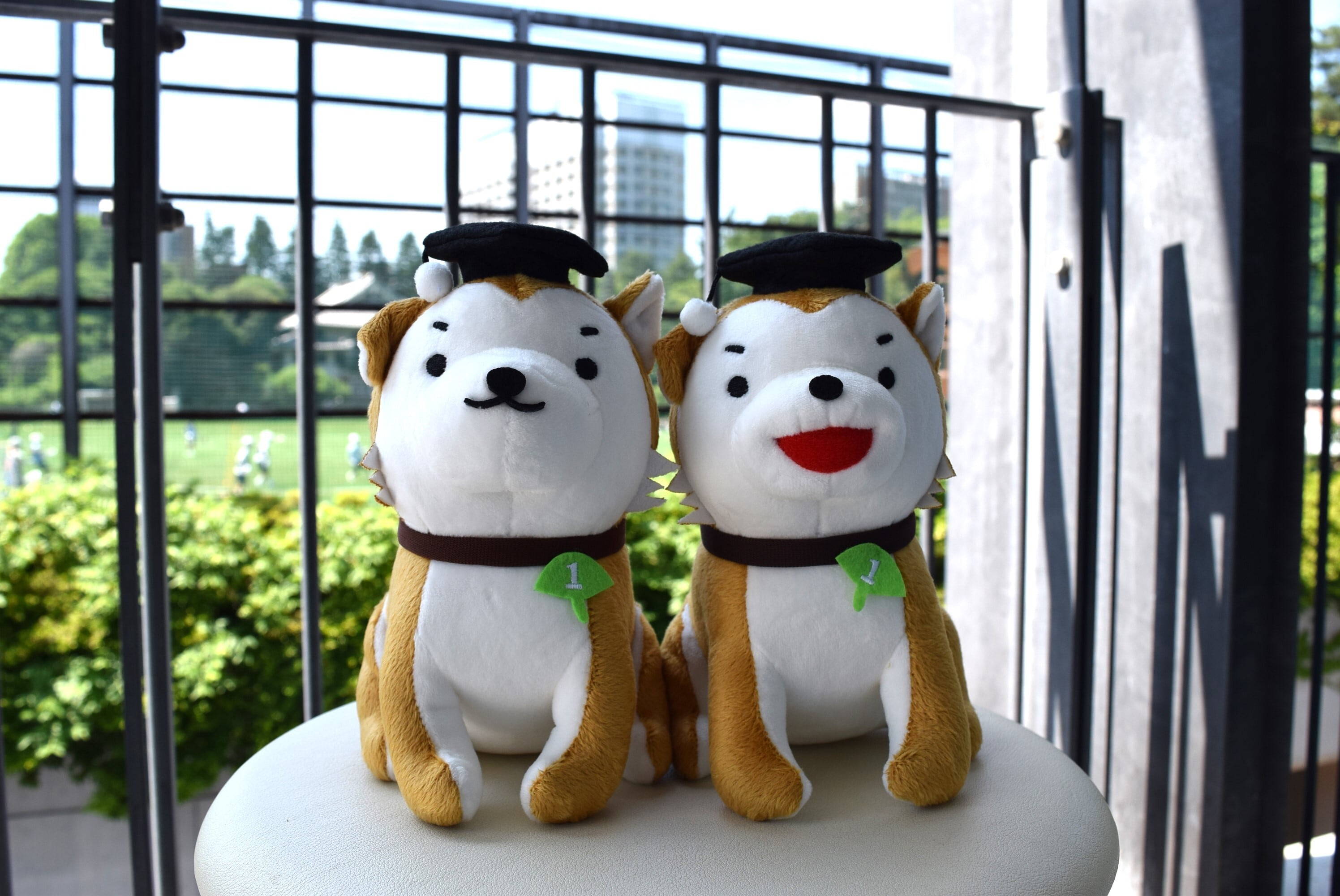 動物占い心理学認定とそれをもつ犬のぬいぐるみ 動物占い心理学認定とそれをもつ犬のぬいぐるみ