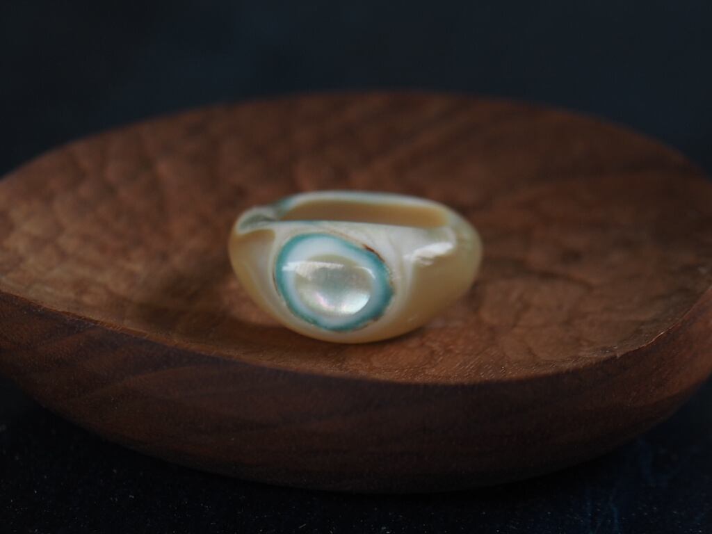 かいのわ（kainowa）