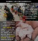 天然黒曜石ペンダント エスニックスタイル 실속
