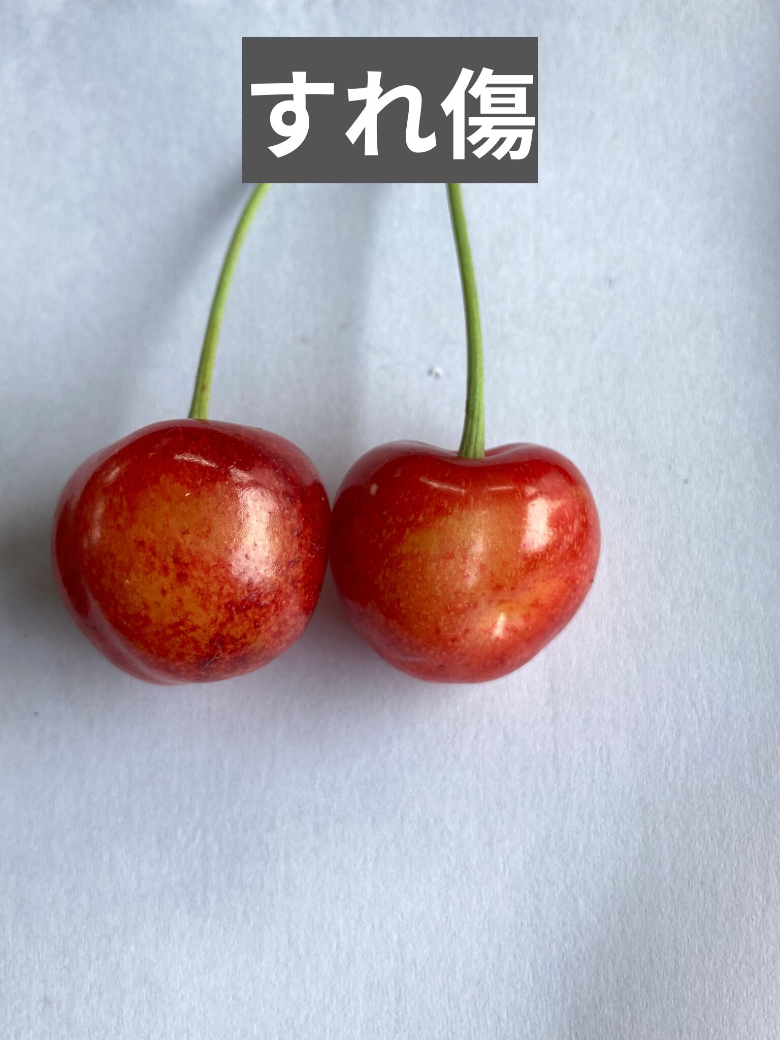 シーズン最後のさくらんぼ 訳あり「大将錦」秀品 バラ詰め 1kg 山形県山辺町産