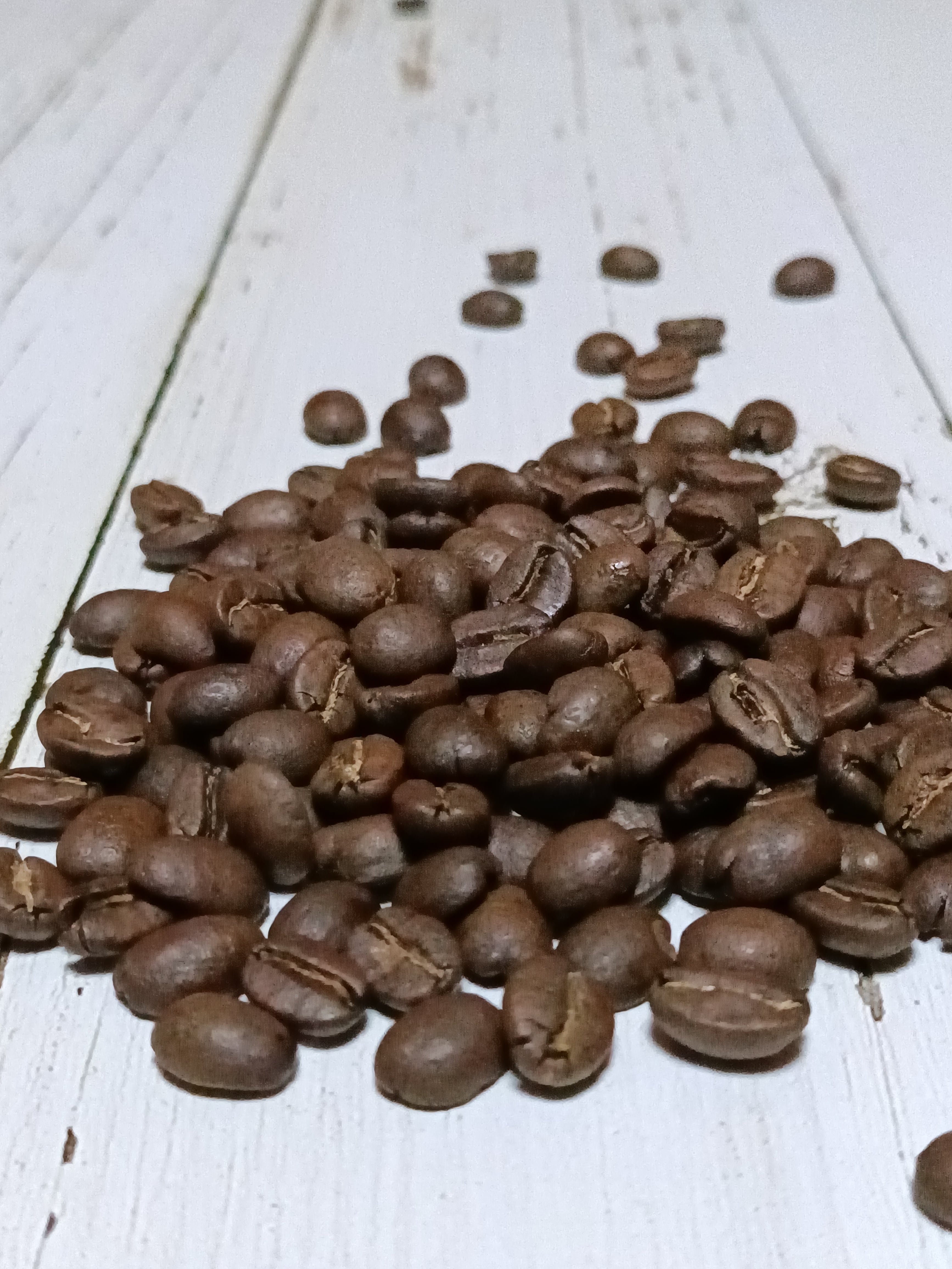 200g// ケニアAA | コーヒーノキ焙煎所 美味しくて抜群のコスト