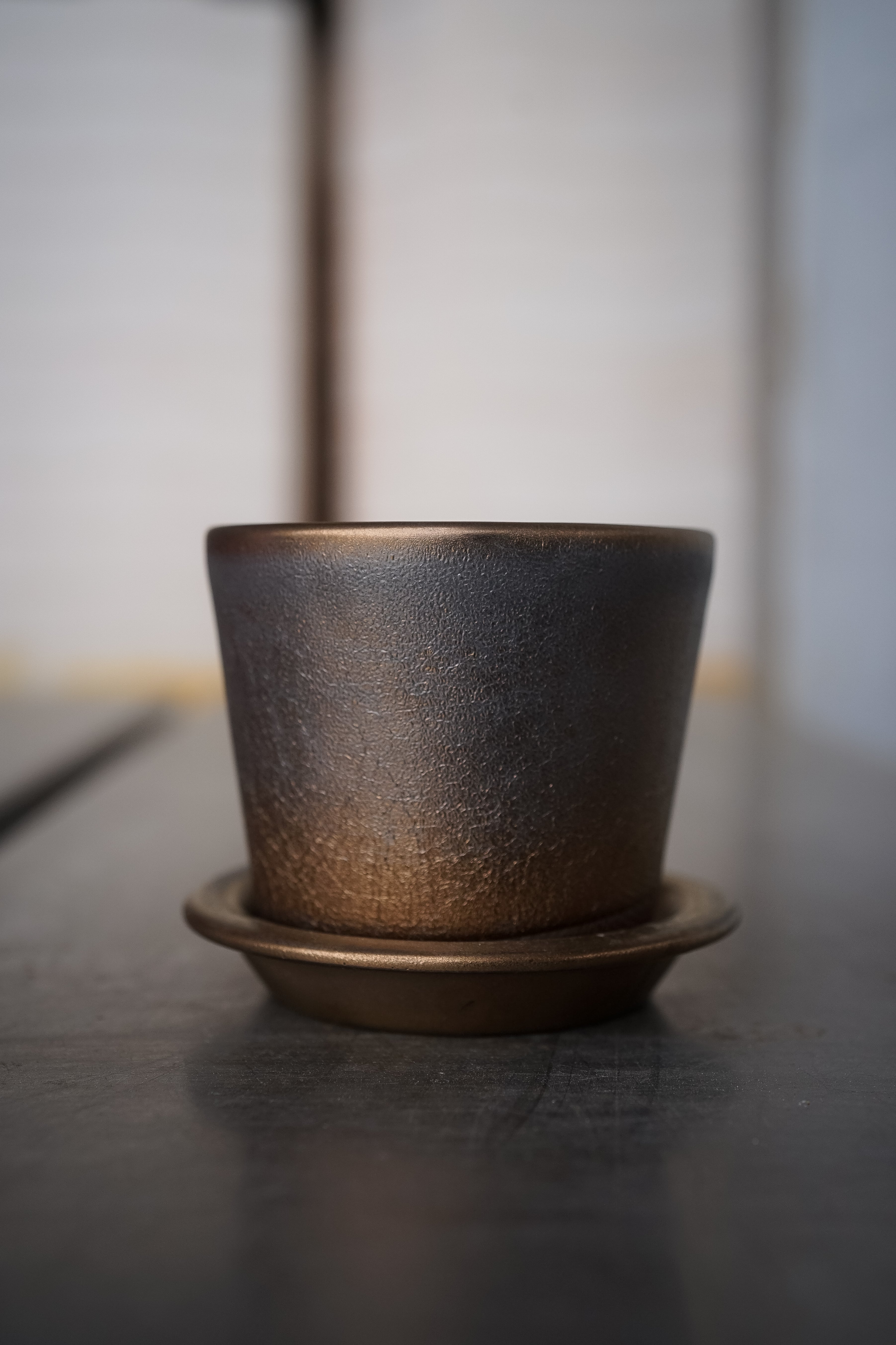 Top【選抜株】60038ゴールド　ジェード 綴化 24個　鉢無し/脱土 d03b274357267c19cea88b285720e5