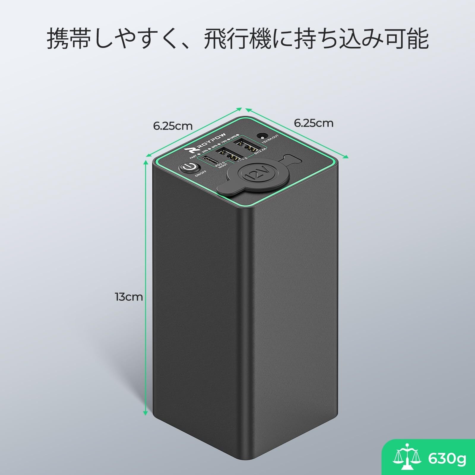 RoyPow ポータブル電源 12Vモバイルバッテリー 大容量 充電バッテリー