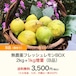 無農薬フレッシュレモンBOX 2kg+1kg増量（B品）【4月中旬以降収穫予定分】