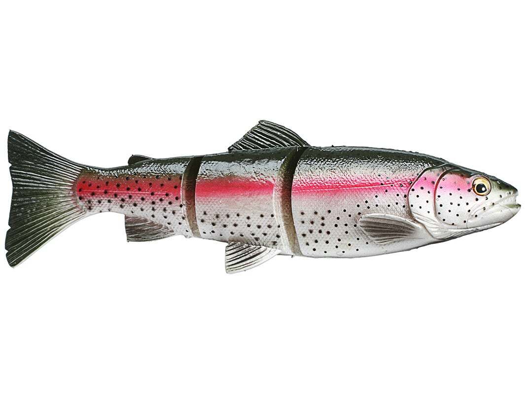 ダイワ(DAIWA) 胡散臭く ビッグベイト PROREXライブトラウト ダイワ(DAIWA) 胡散臭く ビッグベイト PROREXライブトラウト