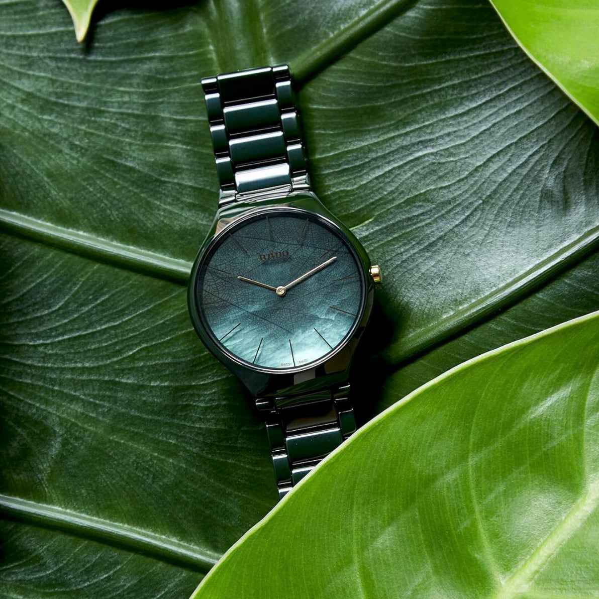 【RADO ラドー】True Thinline Leaf トゥルーシンライン（リーフグリーン）／国内正規品 腕時計