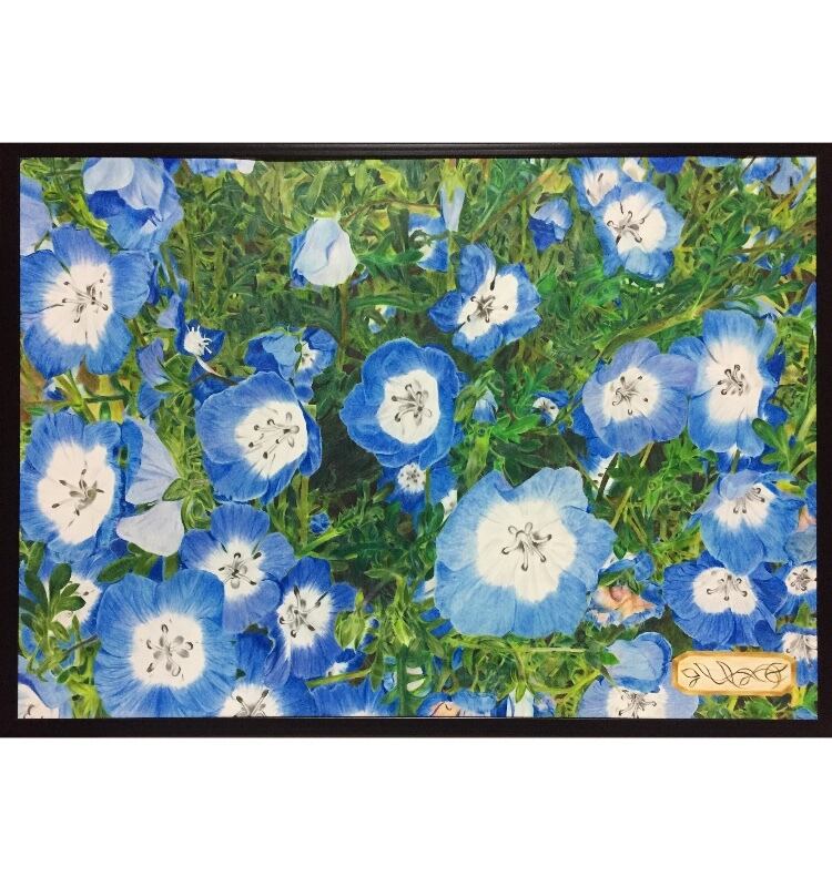 ネモフィラ ～可憐～ 」 | yotto's gallery【 色鉛筆画 】
