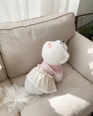 予約  【bowbow】  クレームドレス    (ピンク)