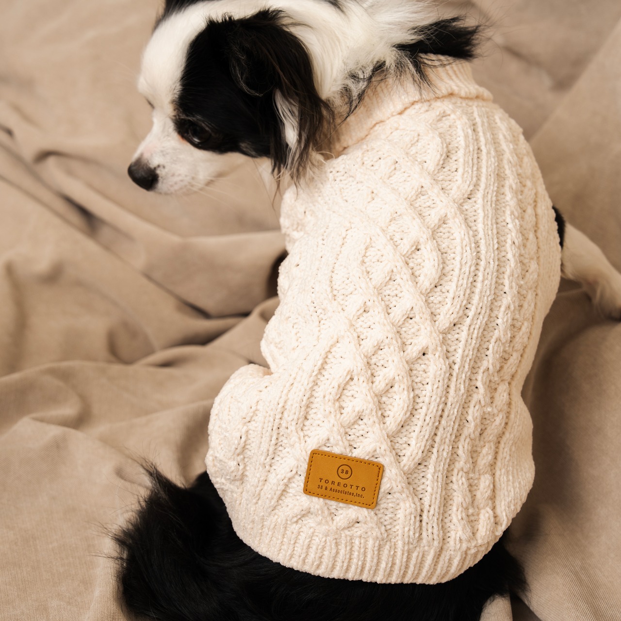 TOREOTTO38 DOG KNITVEST / WHITE