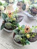 多肉植物&グリーンアレンジメント  カラーストーン テラコッタ 寄せ植え風 アーティフィシャルフラワー