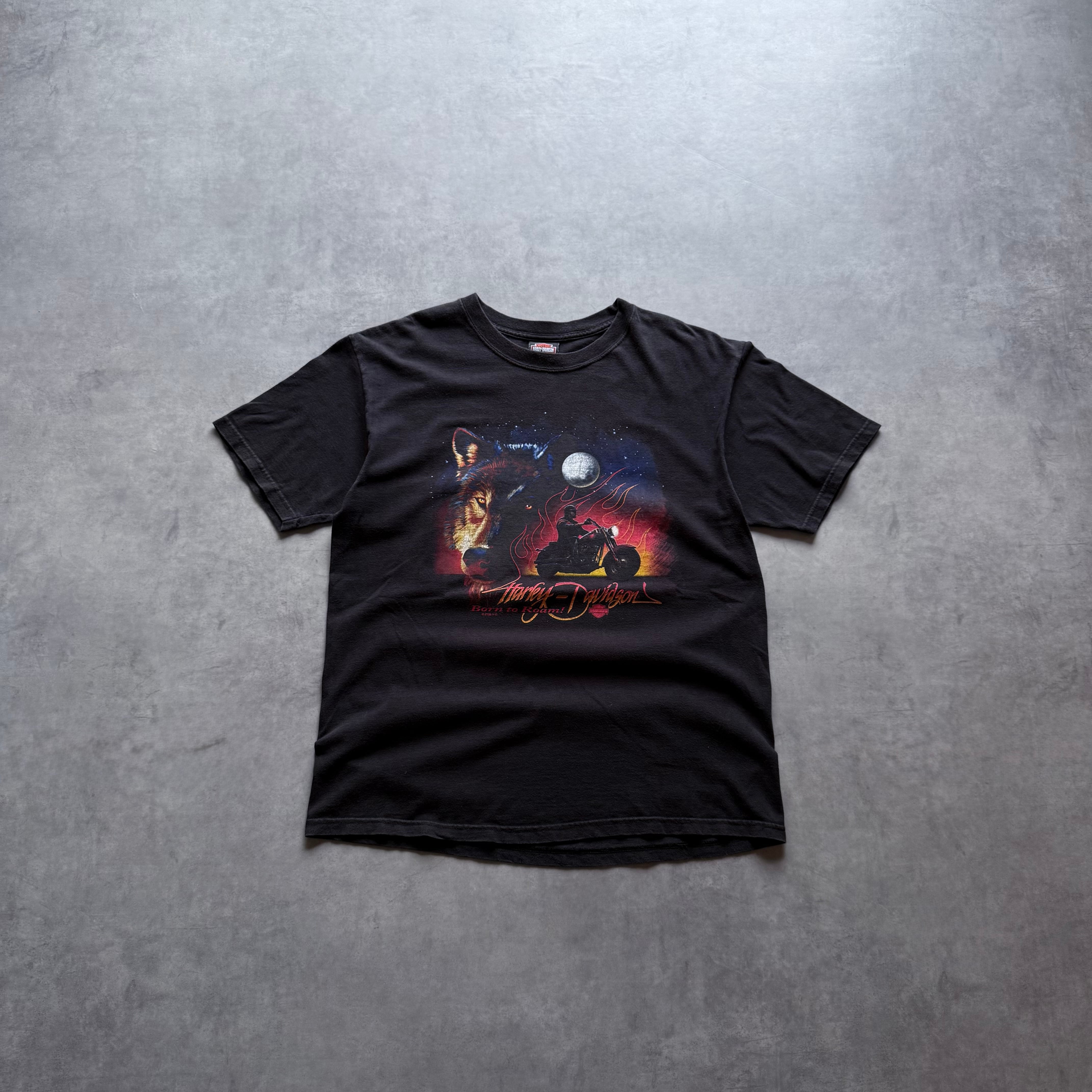 00's Harley Davidson Fort worth texas-L