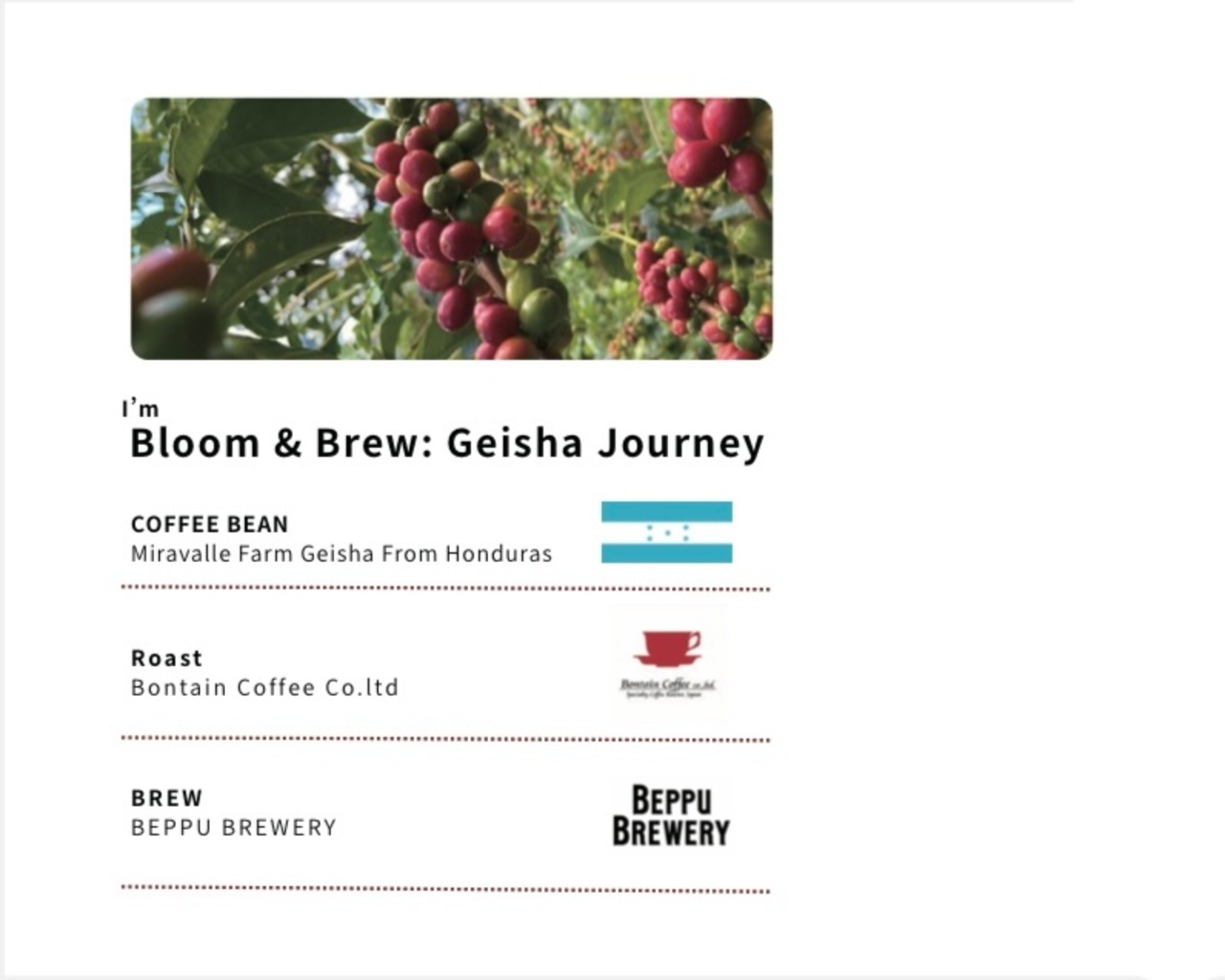 Bloom&Brew　3本セット