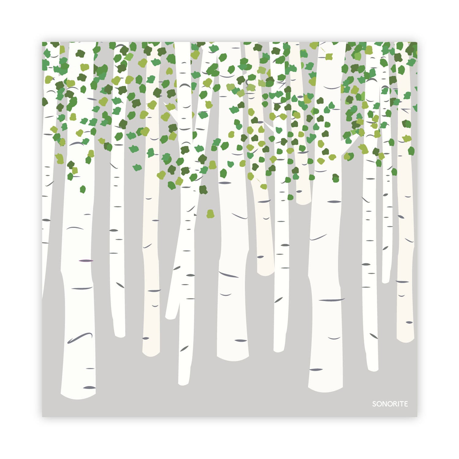 白樺 【送料無料】 インテリア 北欧 ポスター おしゃれ オーダーサイズ【受注生産】