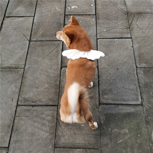 【PET】フワフワ小さな天使の羽デザインパール付きコスプレ翼