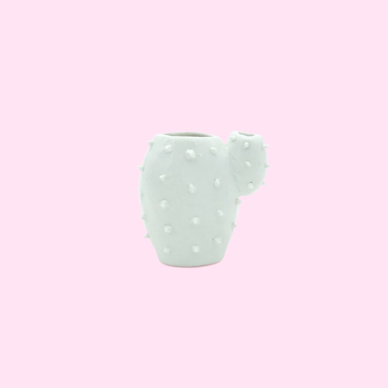 一輪挿し サボテン１ 毒と楽園 Poison And Paradise