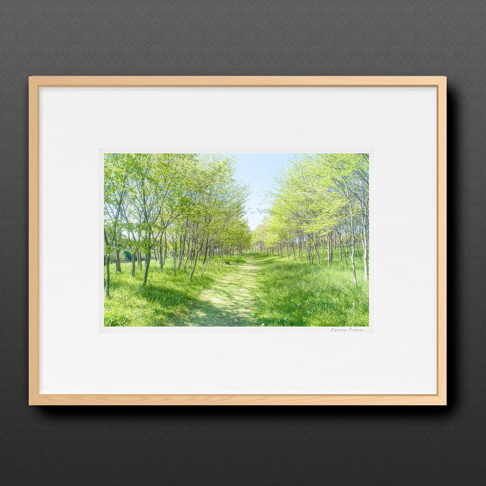 新緑の小径 ■額縁サイズ(大全紙)726×544mm