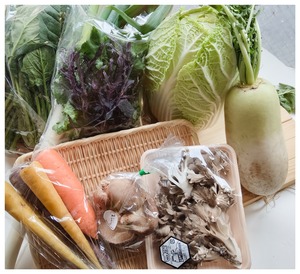 冬季限定!! 野菜計画厳選「鍋用野菜セット」