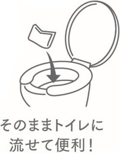 【セット品】ネピア おしりセレブWET本体 無香料 40枚入×1個 + おしりセレブWET詰替え 無香料 60枚入×4個