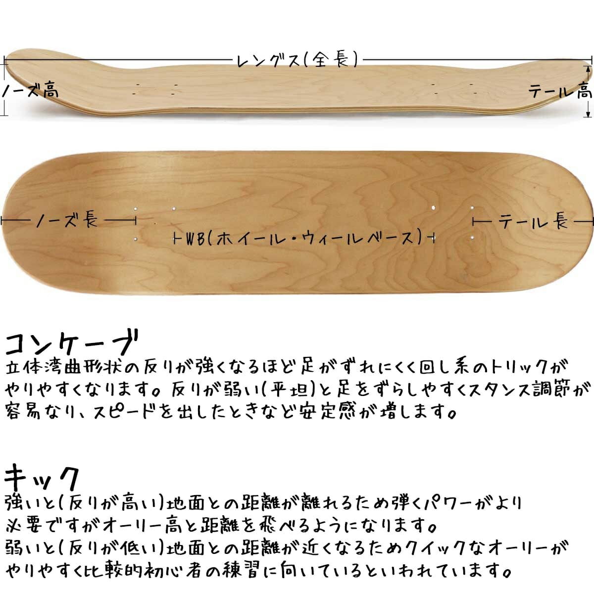 ランダー 7.75インチ スケボー クルーザー デッキ Lander