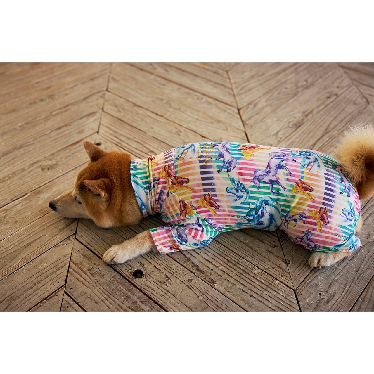 SKIN TIGHT SUIT MULTI PRINT（3L.4L.5L）スキンタイトスーツマルチ