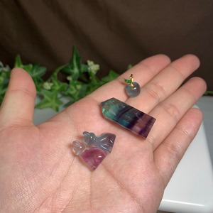 05.フローライトねこちゃんの集い場・フローライト