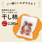 【2025年産】【11月発送】西条柿 2L 14玉（2.5ｋｇ）たしなみ