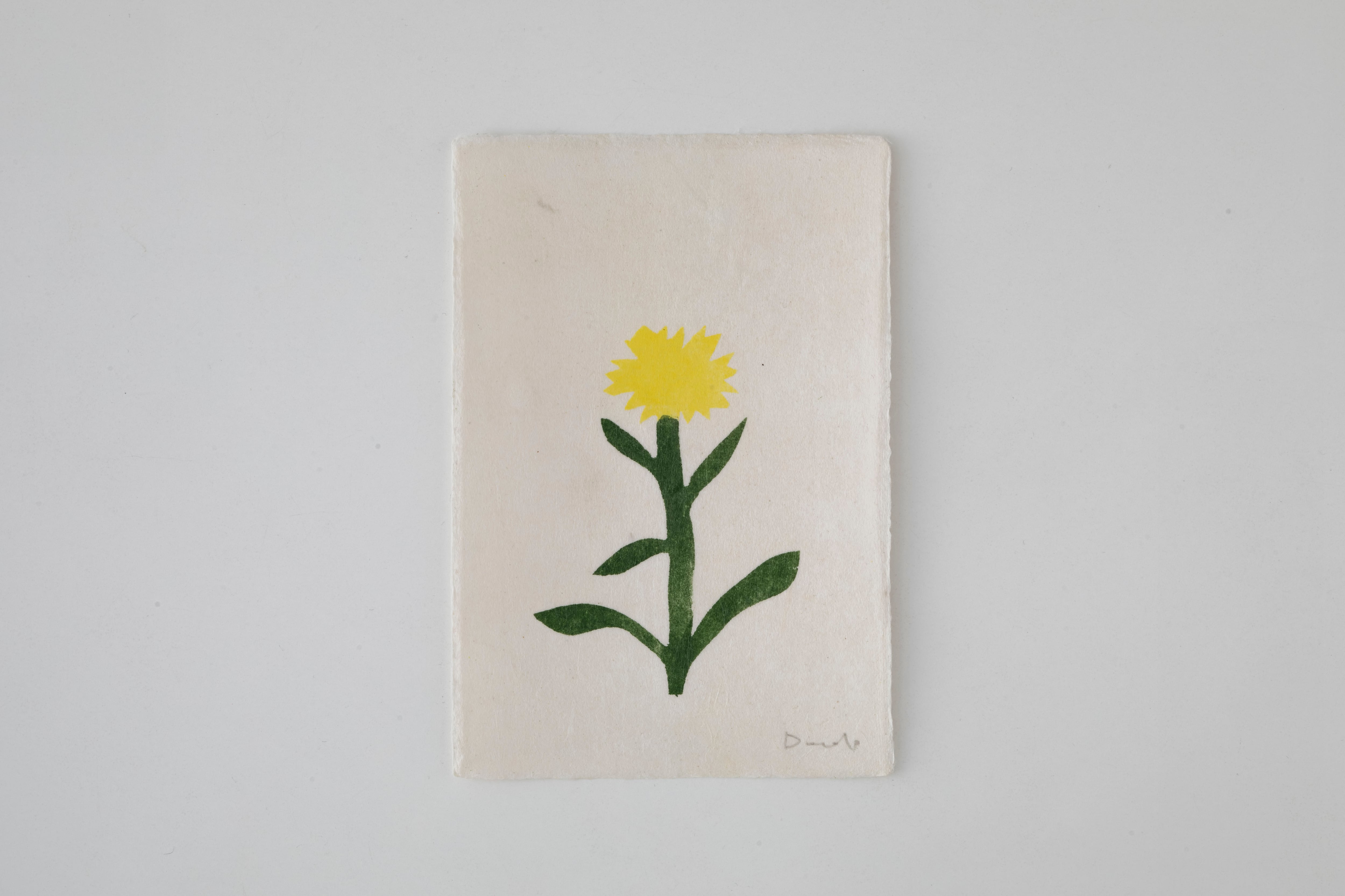 W6-2:Field Notes Prints(M)/ Donchi