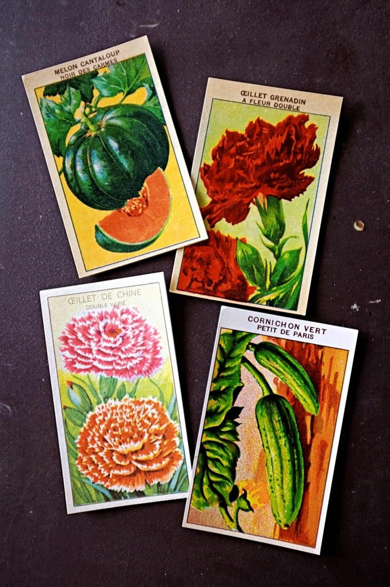 20s フランス 4set 膨満な花々と野菜たち 種子袋用ラベルv アンティーク