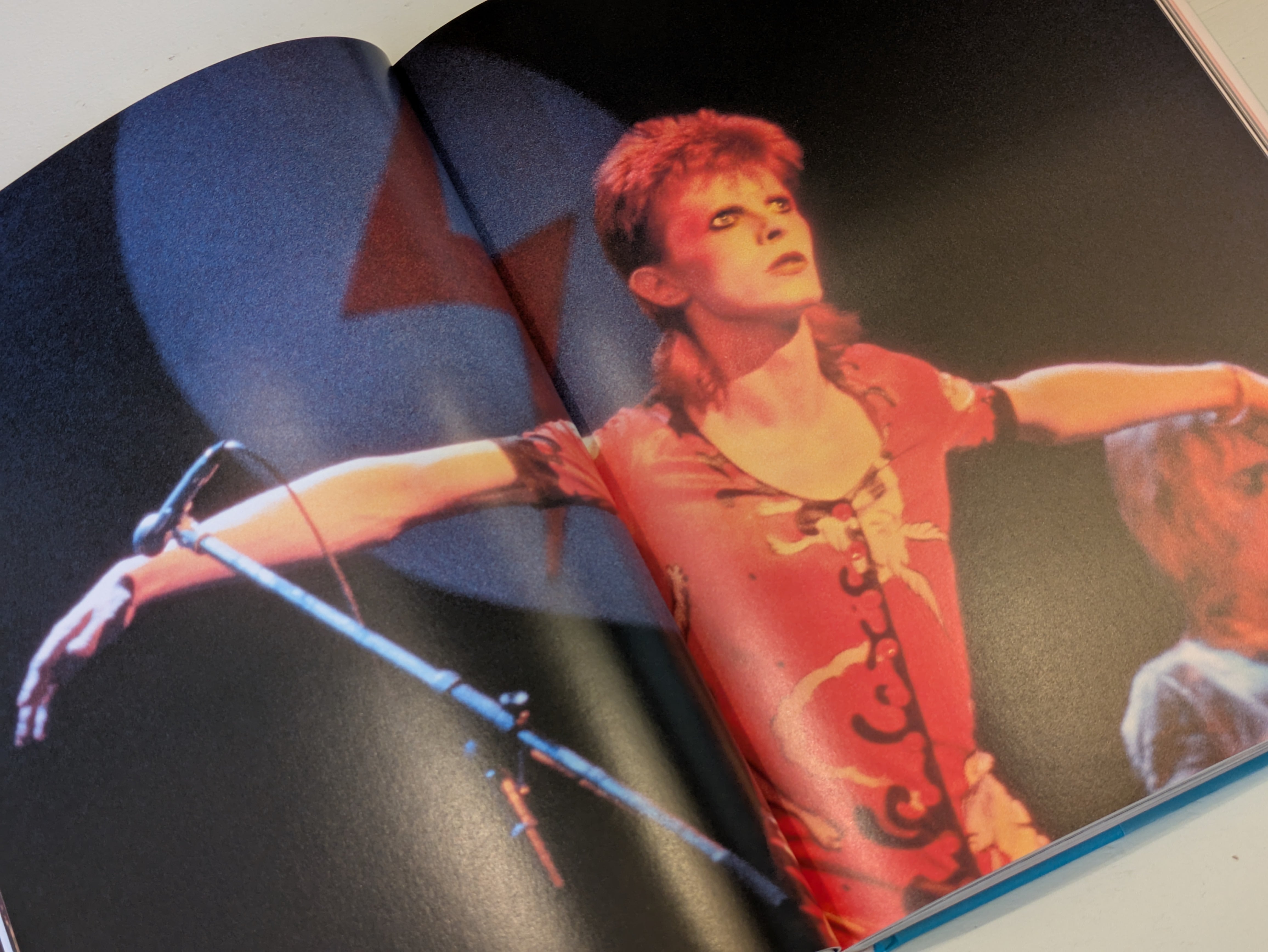 The Rise of David Bowie 1972–1973 : Mick Rock / デヴィッド・ボウイ