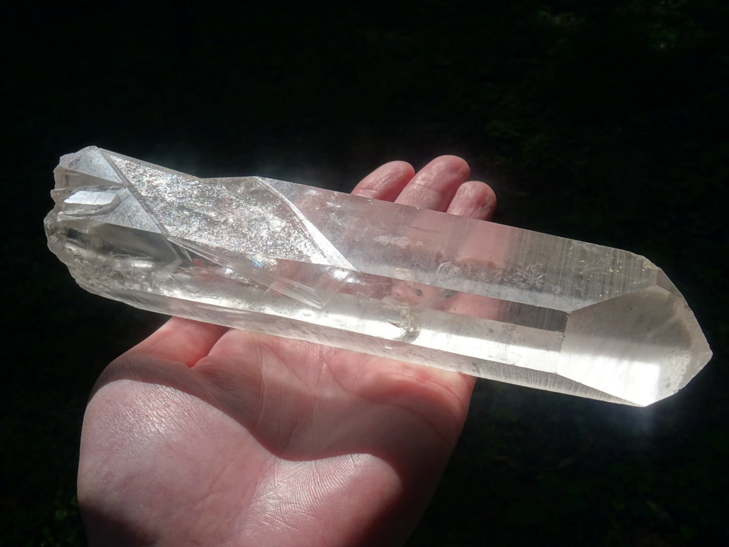 オールドレムリアンシード(オリジナル)「Lemurian Wings」