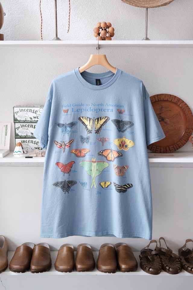 From USA "Lepidoptera"