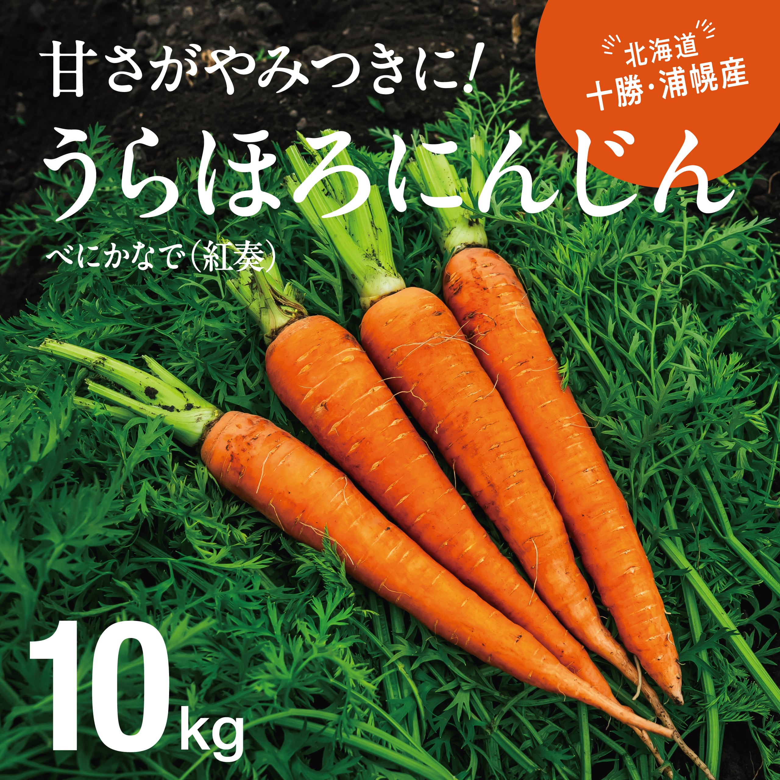 うらほろにんじん(10kg)北海道十勝・浦幌産