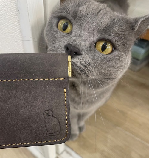 猫毛のようなレザーミニポーチ（バネタイプ）