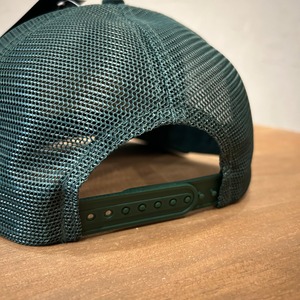EVERYTHING MESH CAP